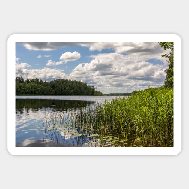 Lake summer view with clouds and trees Sticker by lena-maximova